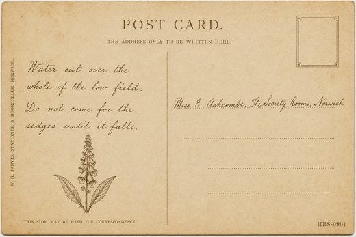 An admission ticket with printed numbering